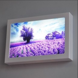 Integrated Modern Contemporary Modern Comtemporary Painting Feature for Ambient Light Wall Sconces