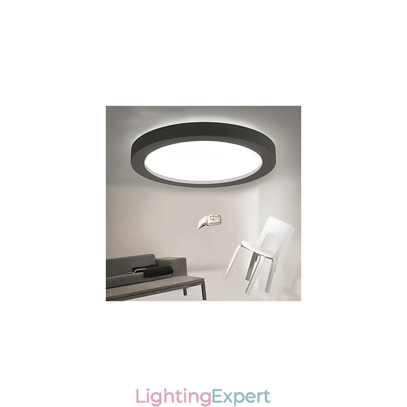 Modern Contemporary Decorative Design Ceiling Light
