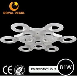 Warm white Hot Selling Circle Pendant Lighting For Shopping Mall