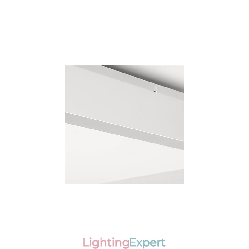 Modern Contemporary Decorative Design Ceiling Light