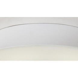 Modern Contemporary Painting Metal Flush Mount