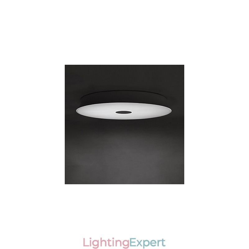 Flush Mount Modern Contemporary Metal