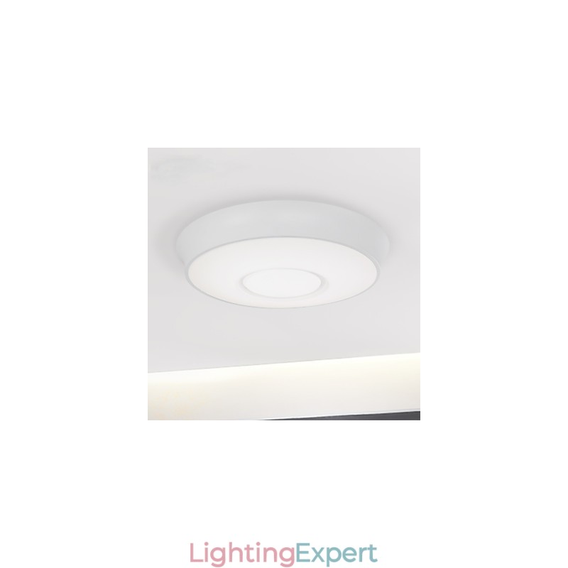 Modern ceiling light Home Ceiling Lamps Energy saving