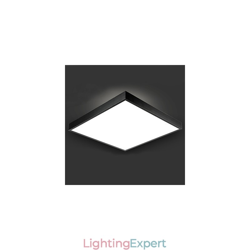 Modern Contemporary Decorative Design Ceiling Light