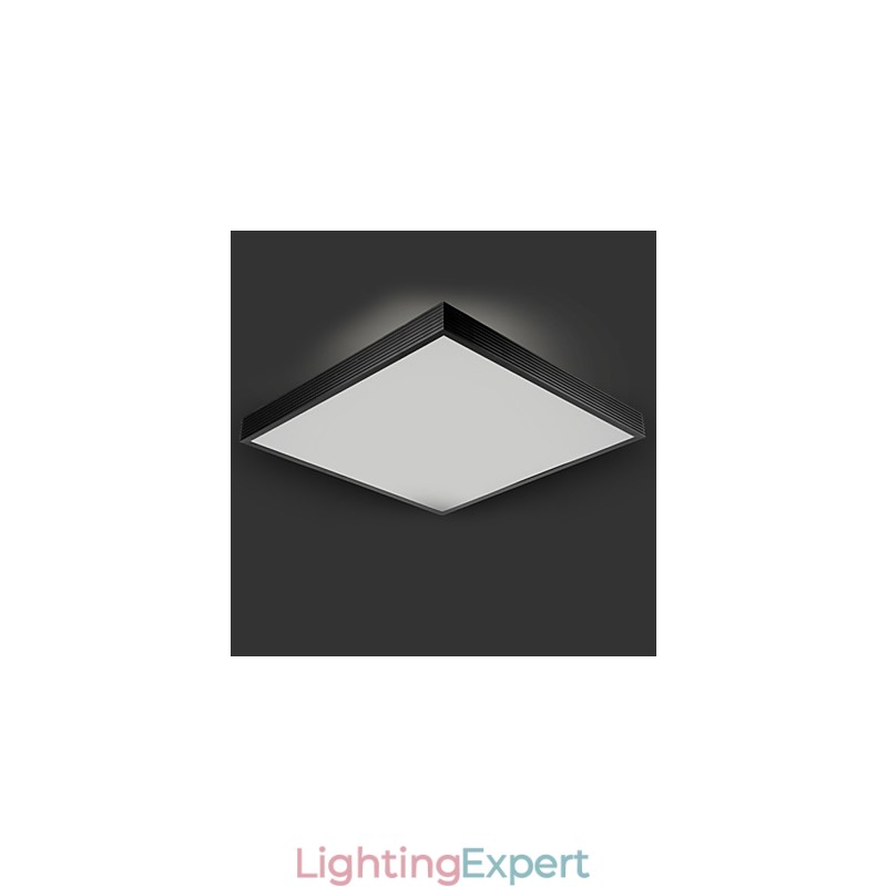 Modern Contemporary Decorative Design Ceiling Light