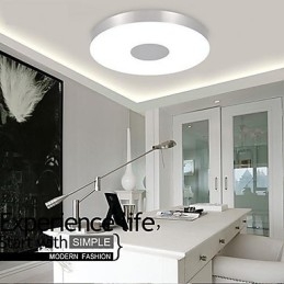 Modern Contemporary Brushed Metal Flush Mount