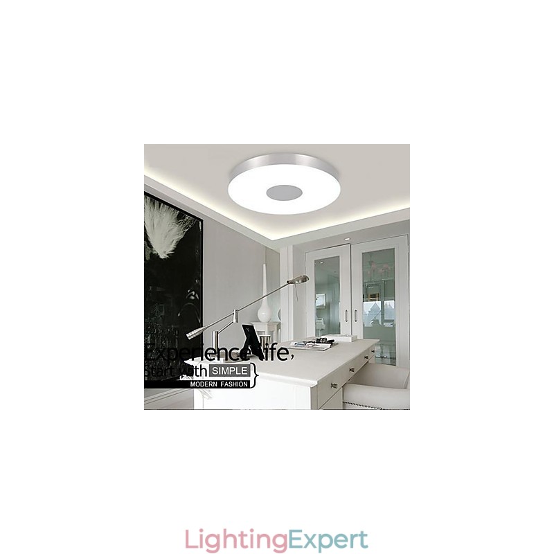 Modern Contemporary Brushed Metal Flush Mount