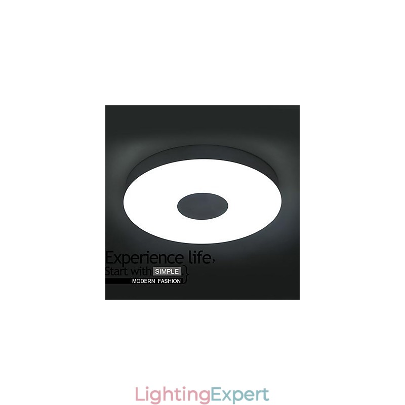 Modern Contemporary Brushed Metal Flush Mount