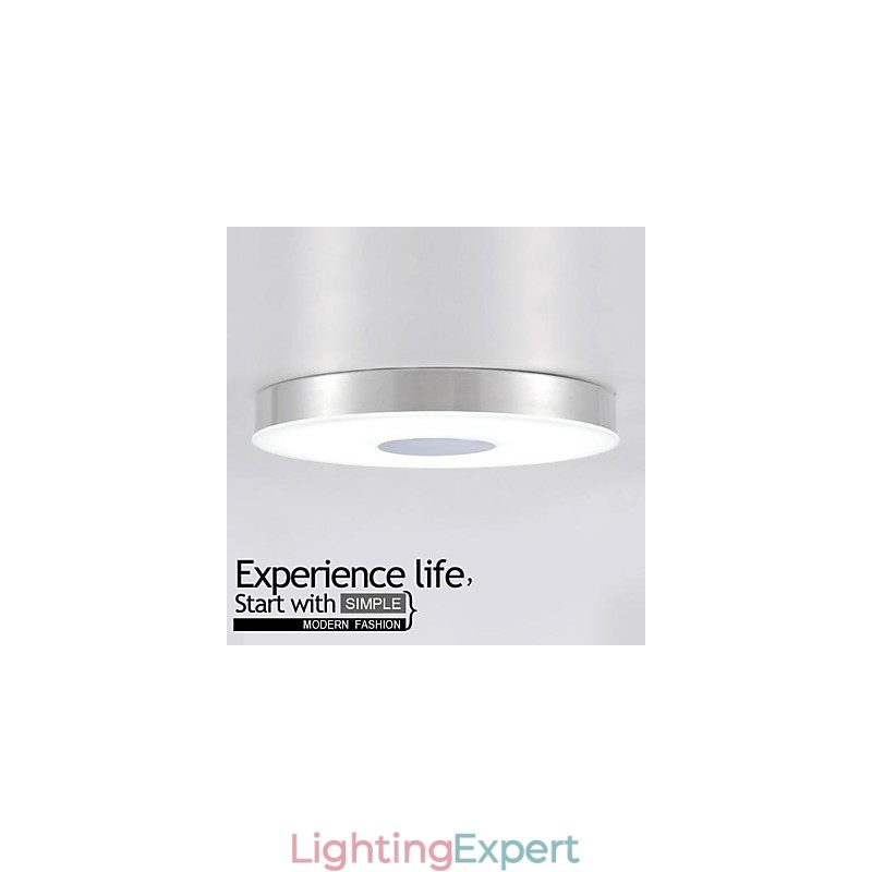 Modern Contemporary Brushed Metal Flush Mount