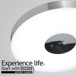 Modern Contemporary Brushed Metal Flush Mount