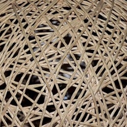 1 Light Ceiling Light in Ball Shaped Shade