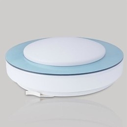 Modern Contemporary Metal Flush Mount
