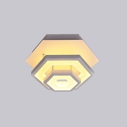 Modern Light Ceiling Light 22W
