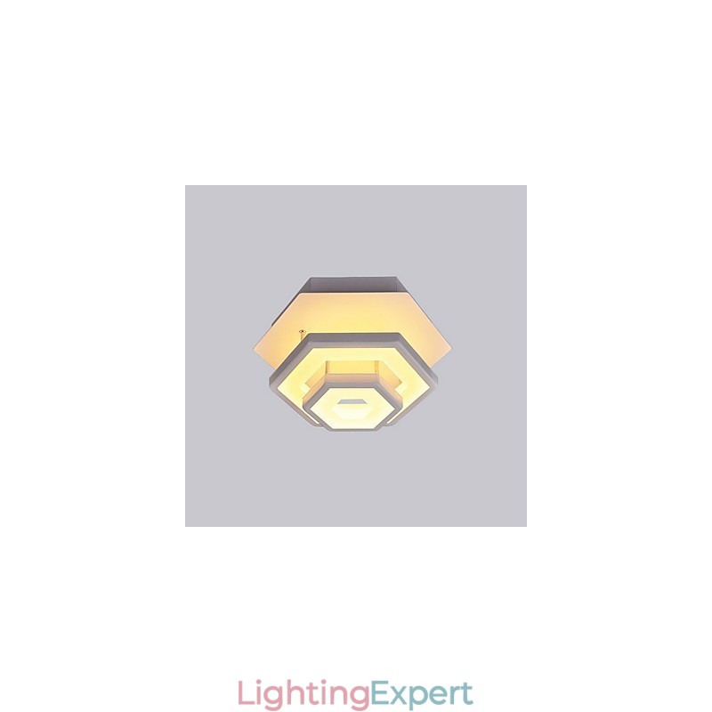 Modern Light Ceiling Light 22W