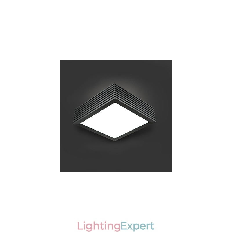 Modern Contemporary Decorative Design Ceiling Light