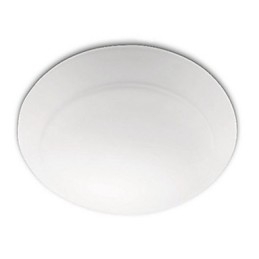 Modern Contemporary PHILIPS Painting Acrylic Flush Mount