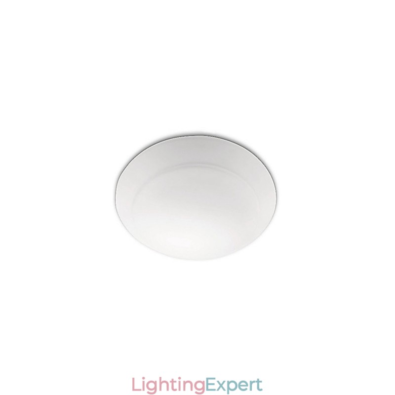 Modern Contemporary PHILIPS Painting Acrylic Flush Mount