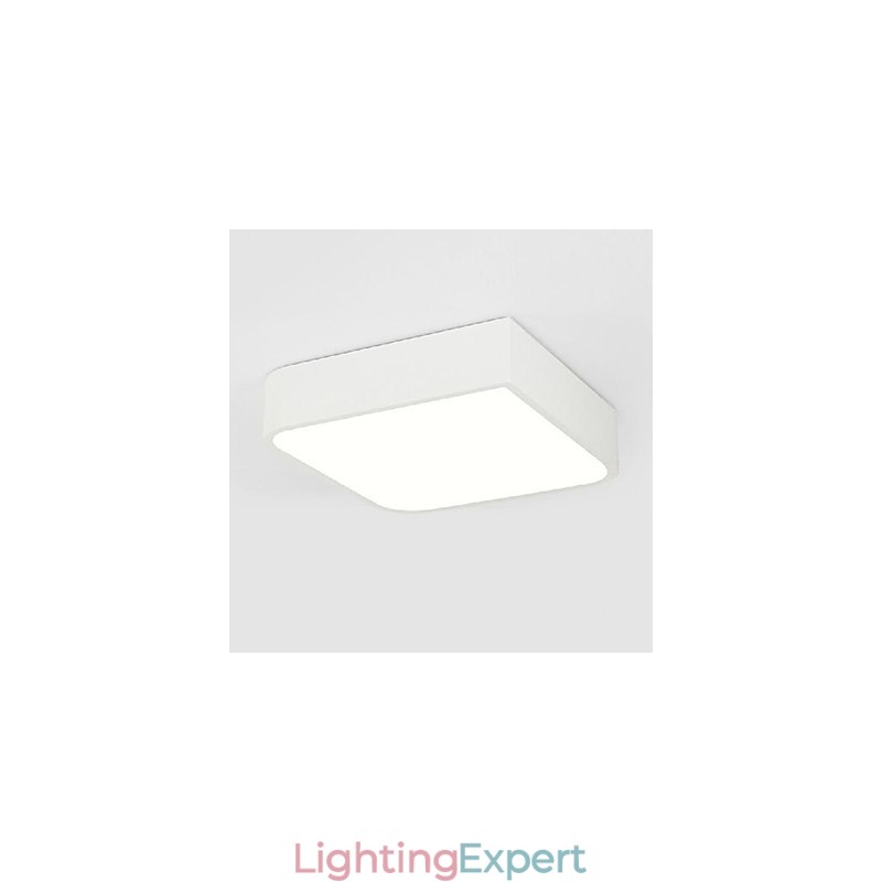 Modern Contemporary Painting Metal Flush Mount Light