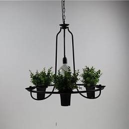 Mediterranean Garden flowers Light
