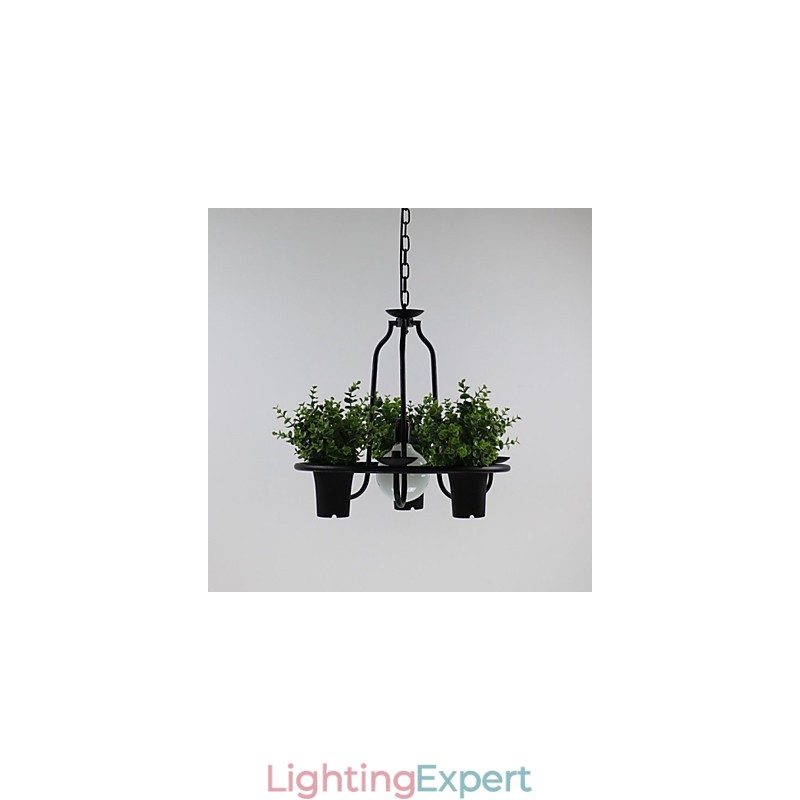 Mediterranean Garden flowers Light