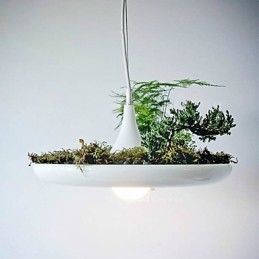 Aluminum Droplight Nordic Creative Contracted Sky Garden Lamps And Lanterns Light No Soil Plant