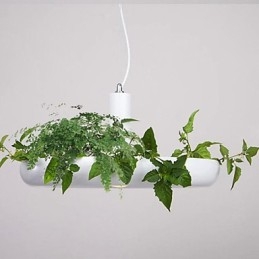 Aluminum Droplight Nordic Creative Contracted Sky Garden Lamps And Lanterns Light No Soil Plant