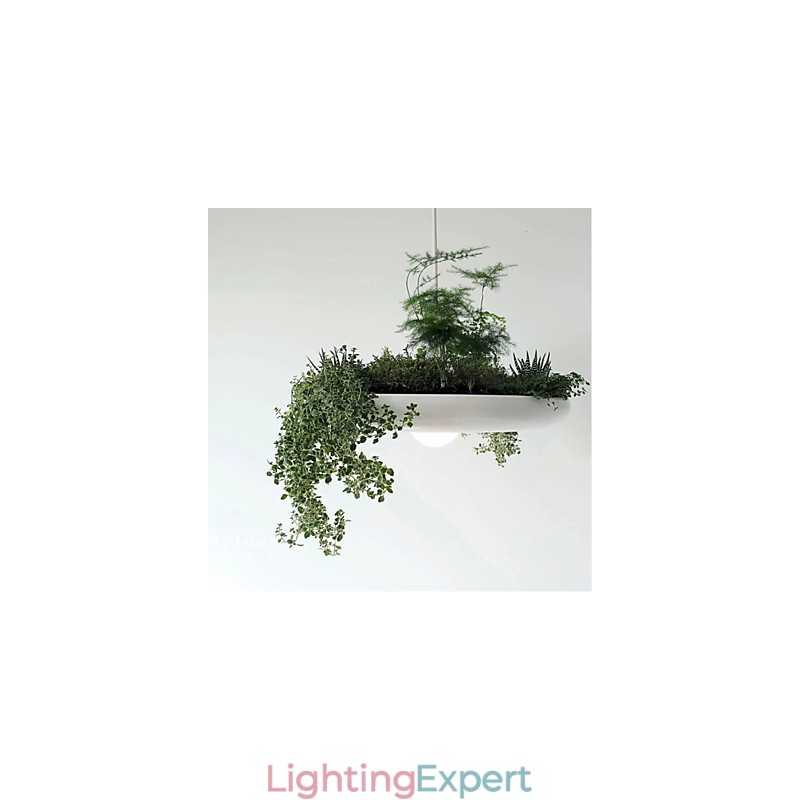 Aluminum Droplight Nordic Creative Contracted Sky Garden Lamps And Lanterns Light No Soil Plant
