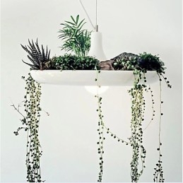 Aluminum Droplight Nordic Creative Contracted Sky Garden Lamps And Lanterns Light No Soil Plant