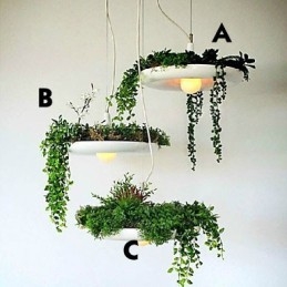 Aluminum Droplight Nordic Creative Contracted Sky Garden Lamps And Lanterns Light No Soil Plant