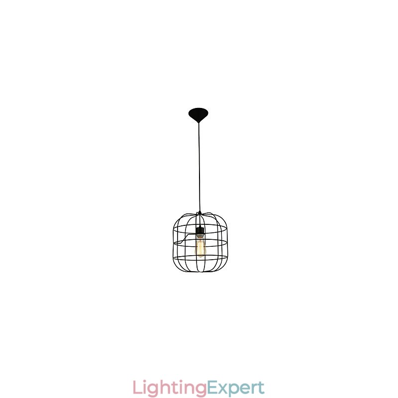 Mini Artistic Birdcage Pendant Lamp 1 Light Mordern Simplicity Finish Black White Metal Carbon Steel Droplight