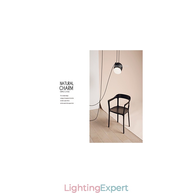 Modern Contemporary Painting Metal Pendant Light